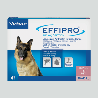 Effipro 268mg Lösung zum Auftropfen für große Hunde, A-Nr.: 3547006 - 02