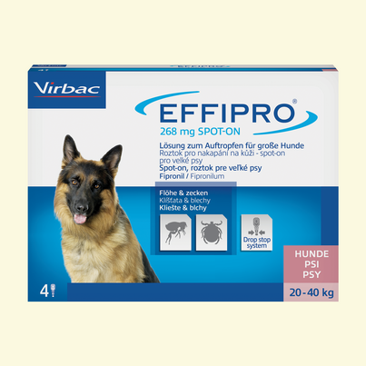 Effipro 268mg Lösung zum Auftropfen für große Hunde, A-Nr.: 3547006 - 03