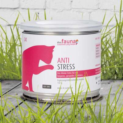 Sie sehen eine Packung AntiStress CAT, Produktbild: 01 AntiStress CAT, A-Nr.: 5807121 - 01