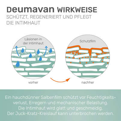 Deumavan Schutzsalbe Neutral, A-Nr.: 4114002 - 04