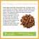 Bio Chaga Pulver 70g, A-Nr.: 4593327 - 03