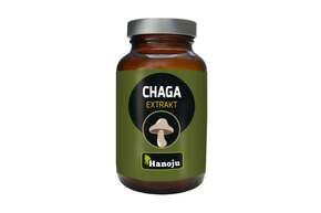 Sie sehen eine Packung Hanoju Chaga Pilz Extrakt Tabletten 400mg, Produktbild: 01 Hanoju Chaga Pilz Extrakt Tabletten 400mg, A-Nr.: 4256156 - 01