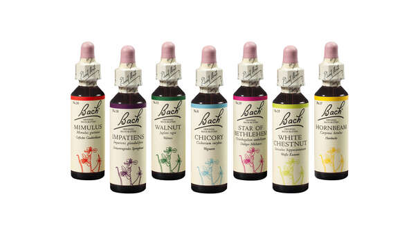 Original Bach®-Blüten Set 40 x 10ml, A-Nr.: 5374768 - 03