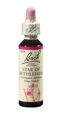 Bach®-Blüte Nr. 29 Star of Bethlehem (Doldiger Milchstern), A-Nr.: 5323334 - 01