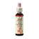 Sie sehen eine Packung Bach®-Blüte Nr. 25 Red Chestnut (Rote Kastanie), Produktbild: 01 Bach®-Blüte Nr. 25 Red Chestnut (Rote Kastanie), A-Nr.: 5323038 - 01