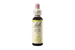 Bach®-Blüte Nr. 23 Olive (Olive), A-Nr.: 5323015 - 01