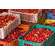 Acerola Vitamin C Fruchtpulver, mit 17% Vitamin C, A-Nr.: 5229049 - 04