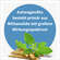NatuGena Ashwagandha Kapseln, A-Nr.: 5699080 - 03