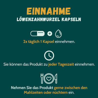 Löwenzahnwurzel-Extrakt 500 mg 60 Kapseln, A-Nr.: 5053343 - 02