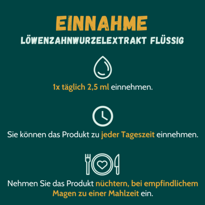 Löwenzahnwurzel-Extrakt 100% 100 ml, A-Nr.: 5053372 - 02