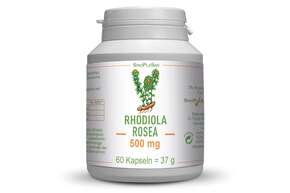 Sie sehen eine Packung Rhodiola Rosea 500 mg MONO 60 Kapseln, Produktbild: 01 Rhodiola Rosea 500 mg MONO 60 Kapseln, A-Nr.: 5446189 - 01