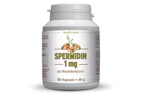 Sie sehen eine Packung Spermidin 1 mg 90 Kapseln, Produktbild: 01 Spermidin 1 mg 90 Kapseln, A-Nr.: 5384726 - 01