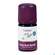 Sie sehen eine Packung Aetherische Oele Taoasis Bio Cajeput 5ml, Produktbild: 03 Aetherische Oele Taoasis Bio Cajeput 5ml, A-Nr.: 3494818 - 03