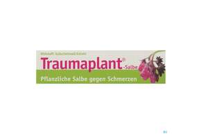 Hws Traumaplant Salbe 100ml, A-Nr.: 2726184 - 01