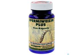 Sie sehen eine Packung Spermiweizen Plus Kapseln 60st, Produktbild: 01 Spermiweizen Plus Kapseln 60st, A-Nr.: 5200399 - 01