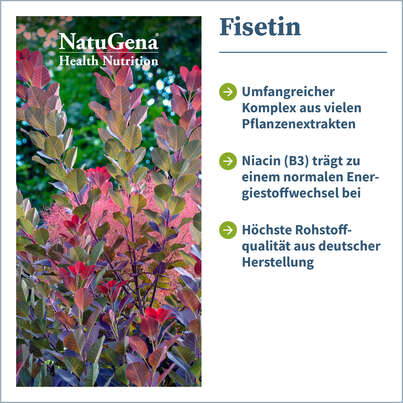 NatuGena Fisetin Kapseln, A-Nr.: 5876955 - 02