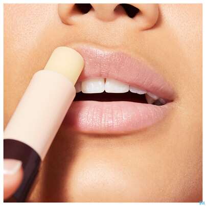 Sie sehen eine Packung Nuxe Reve De Miel Stick Levres Hydratant 4g, Produktbild: 06 Nuxe Reve De Miel Stick Levres Hydratant 4g, A-Nr.: 4080384 - 06