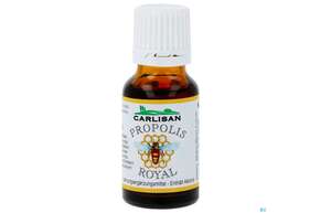 Sie sehen eine Packung Propolis Tropfen -lehar 15ml, Produktbild: 01 Propolis Tropfen -lehar 15ml, A-Nr.: 0663261 - 01