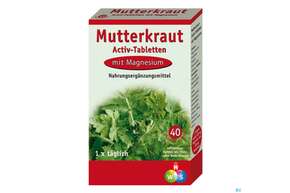 Sie sehen eine Packung Hws Mutterkraut Activ-tabletten 40 Stk., Produktbild: 01 Hws Mutterkraut Activ-tabletten 40 Stk., A-Nr.: 1810089 - 01